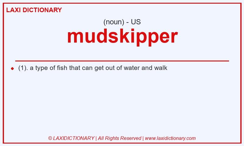 Definition mudskipper in American English