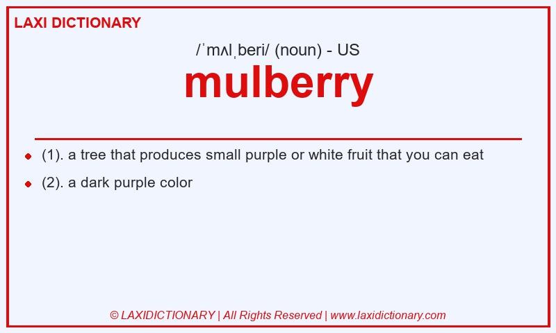 Definition mulberry in American English