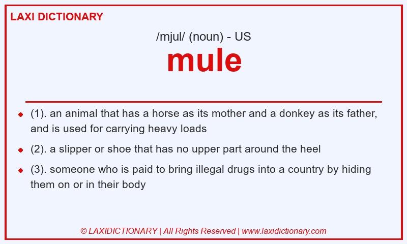 Definition mule in American English