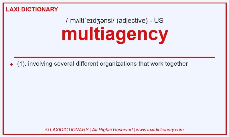 Definition multiagency in American English