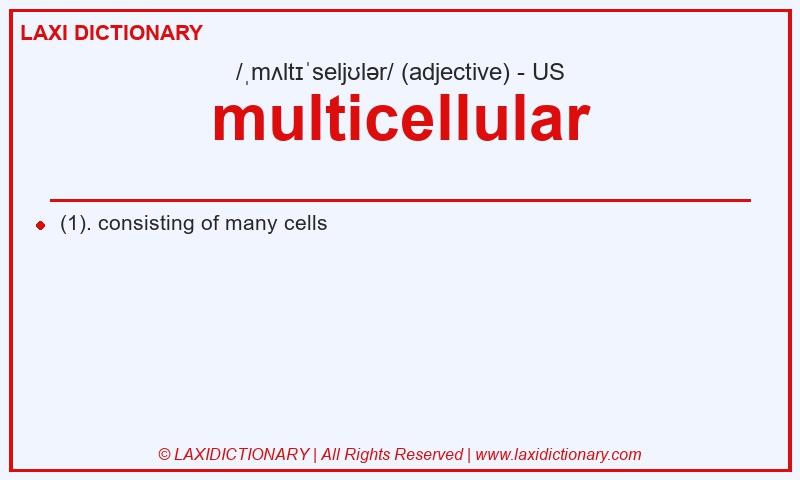 Definition multicellular in American English