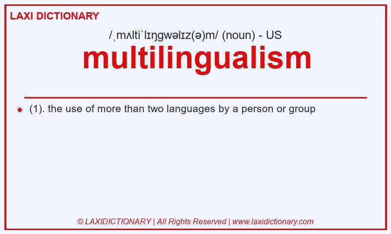 Definition multilingualism in American English
