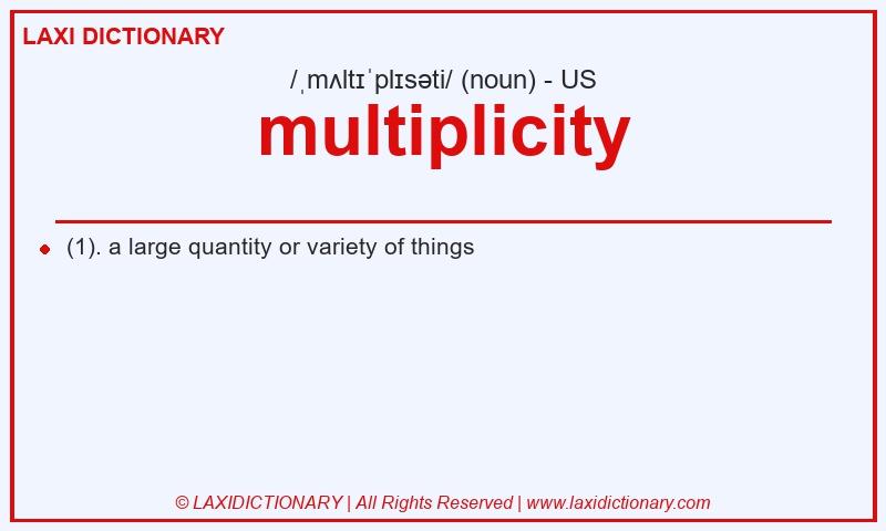 Definition multiplicity in American English