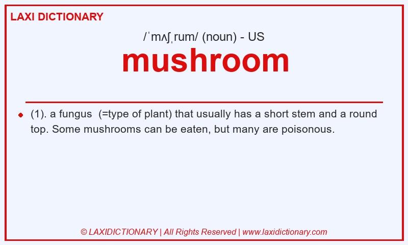 Definition mushroom in American English