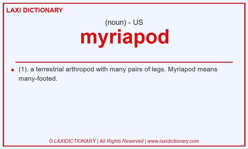 Definition myriapod in American English
