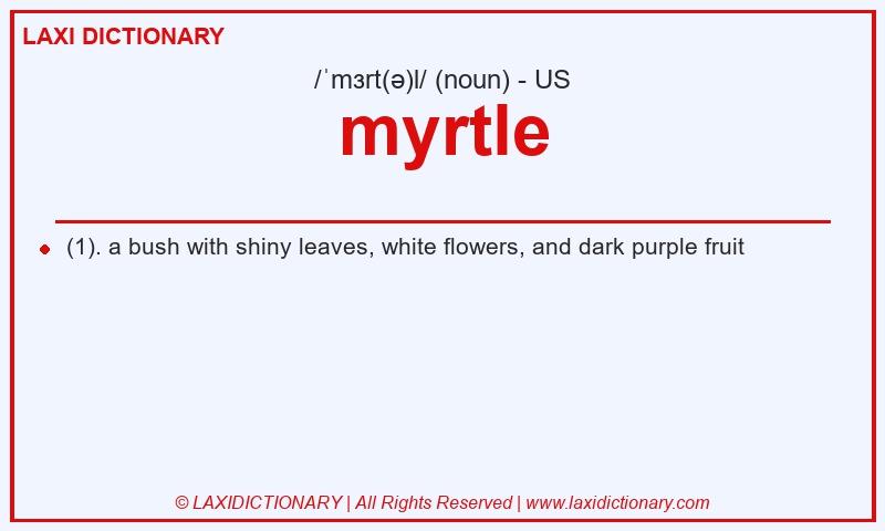 Definition myrtle in American English