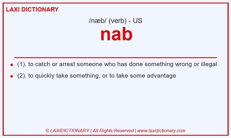 Definition nab in American English