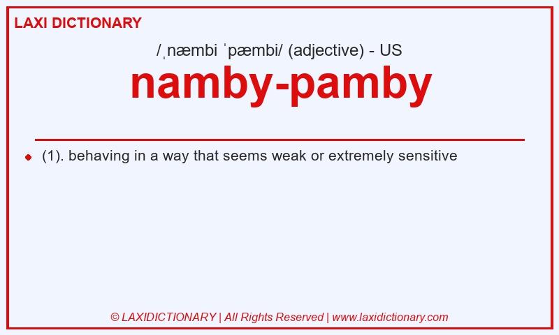 Definition namby-pamby in American English