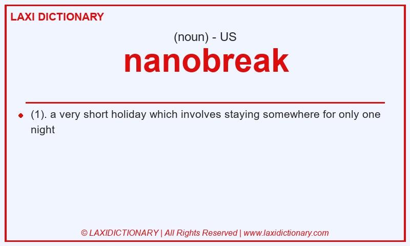 Definition nanobreak in American English