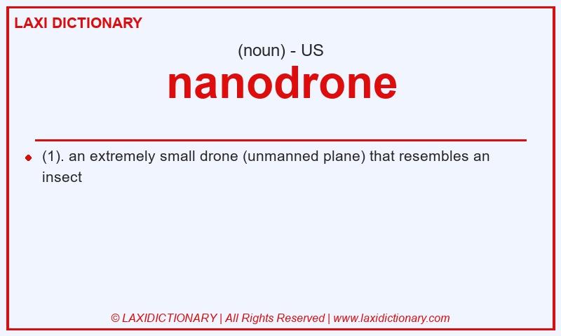 Definition nanodrone in American English