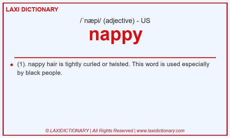 Definition nappy in American English