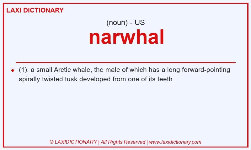 Definition narwhal in American English