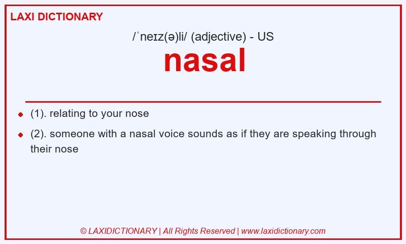 Definition nasal in American English
