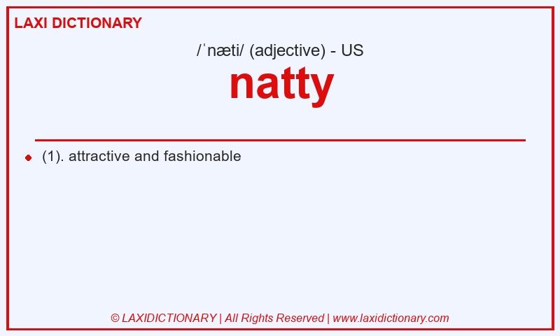 Definition natty in American English