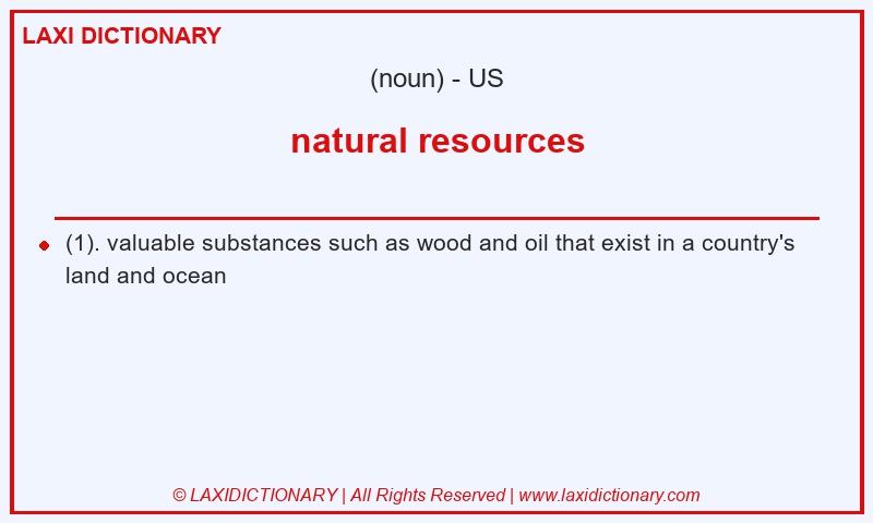 Definition natural resources in American English