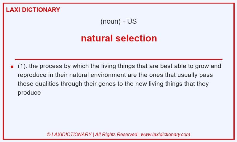 Definition natural selection in American English