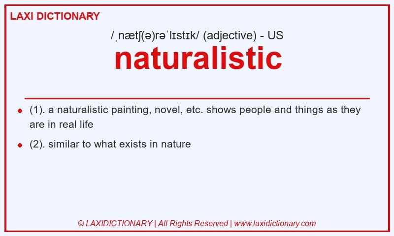 Definition naturalistic in American English