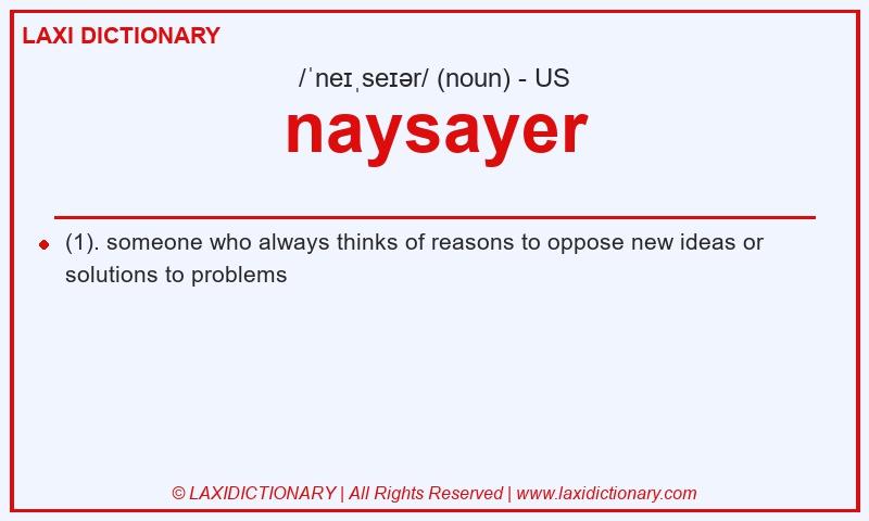 Definition naysayer in American English
