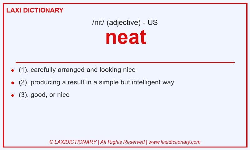 Definition neat in American English