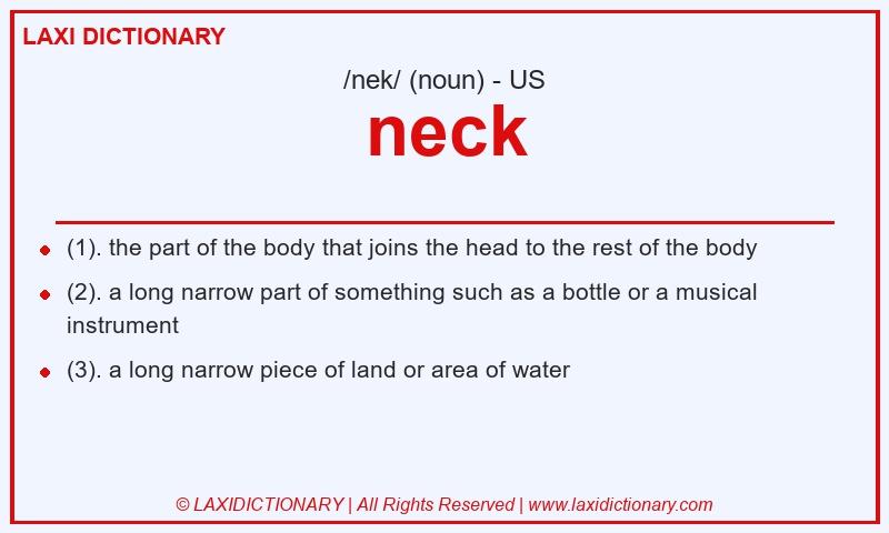Definition neck in American English