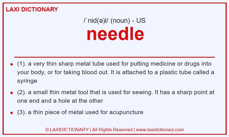 Definition needle in American English