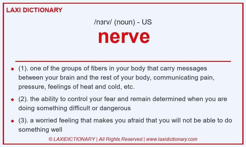 Definition nerve in American English