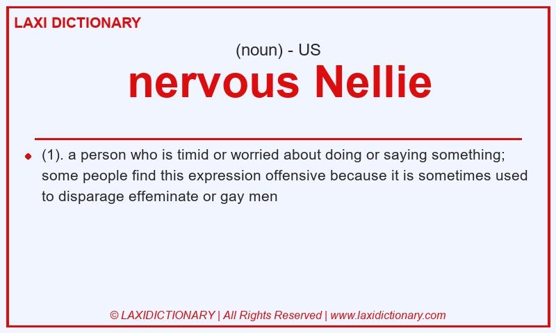 Definition nervous Nellie in American English