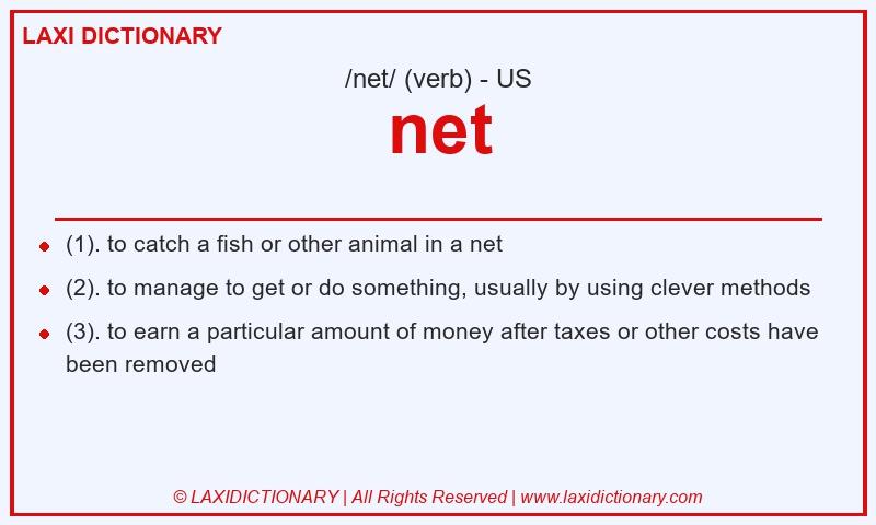 Definition net in American English