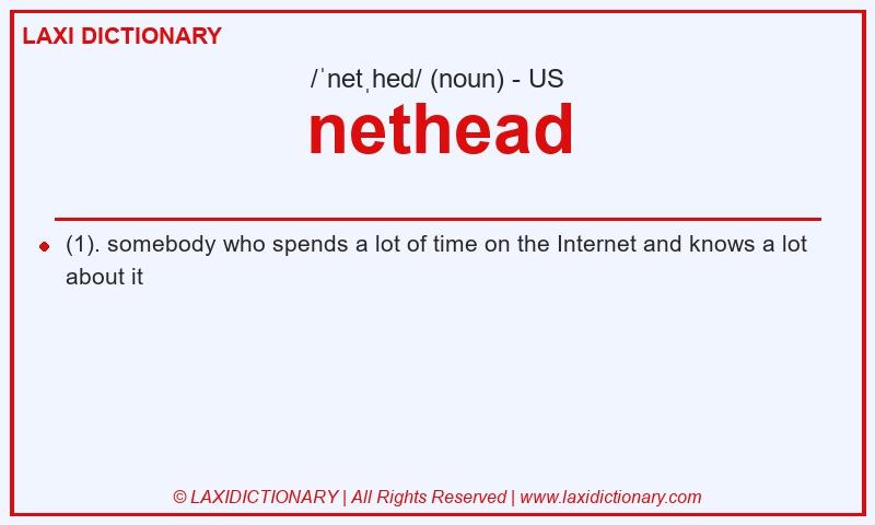 Definition nethead in American English