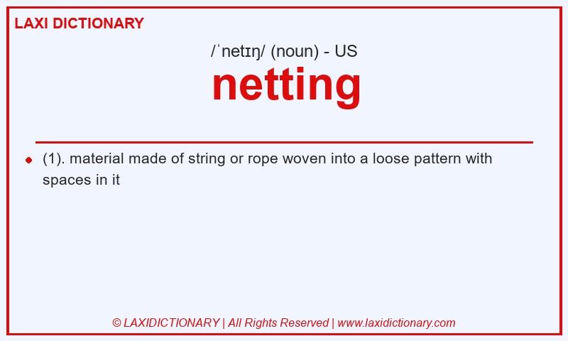 Definition netting in American English