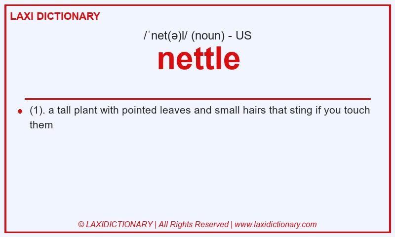 Definition nettle in American English