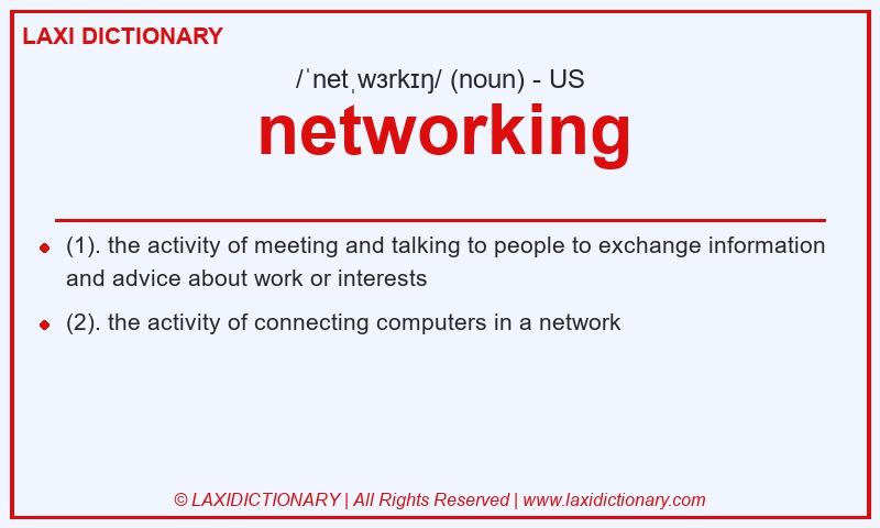 Definition networking in American English