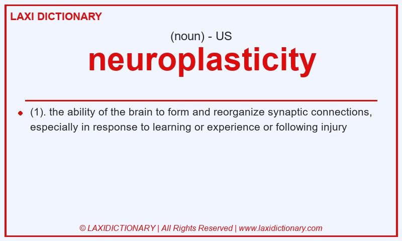Definition neuroplasticity in American English
