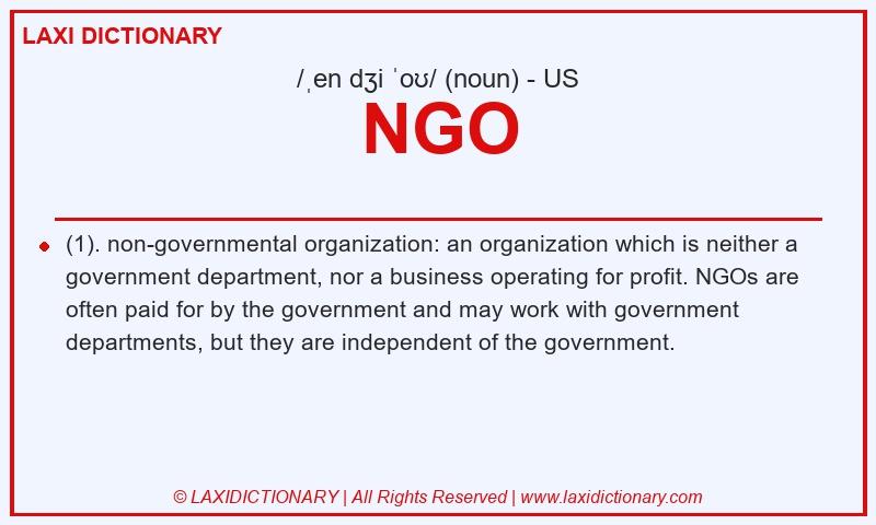 Definition NGO in American English