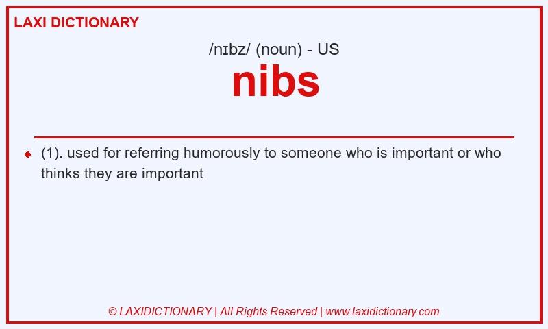 Definition nibs in American English