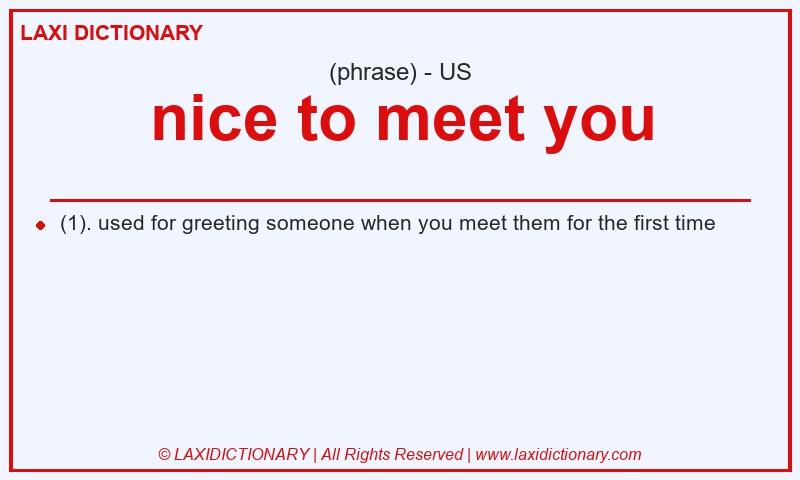 Definition nice to meet you in American English