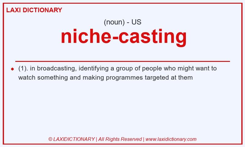 Definition niche-casting in American English