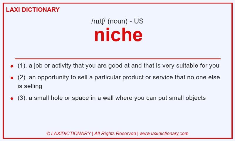 Definition niche in American English