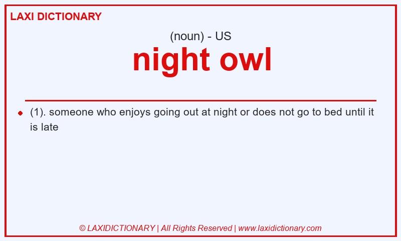 Definition night owl in American English