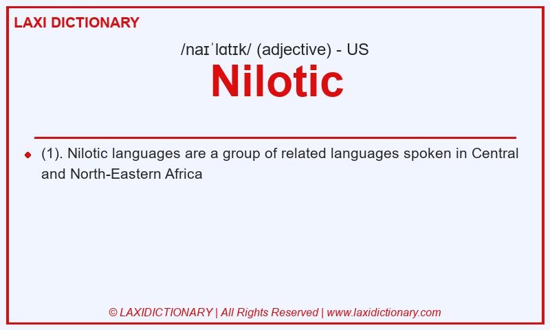 Definition Nilotic in American English