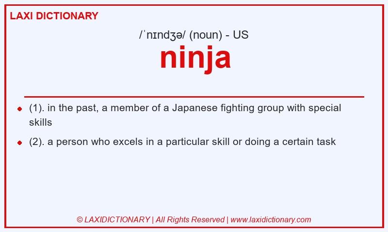 Definition ninja in American English