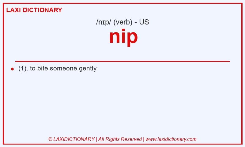 Definition nip in American English