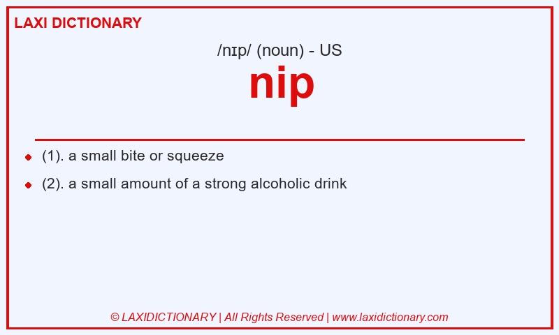 Definition nip in American English