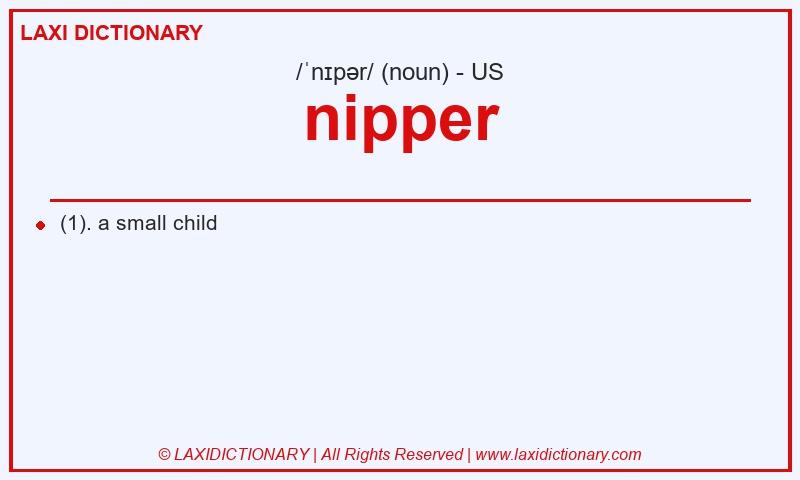 Definition nipper in American English