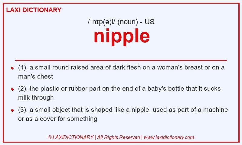 Definition nipple in American English