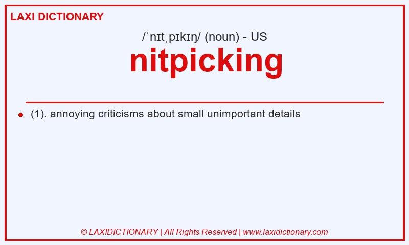 Definition nitpicking in American English