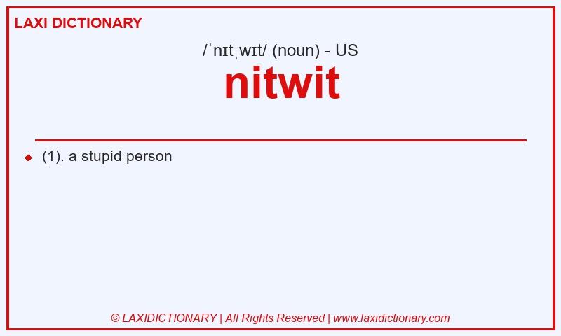 Definition nitwit in American English