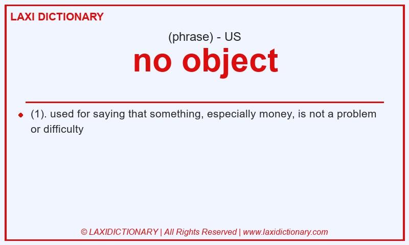 Definition no object in American English