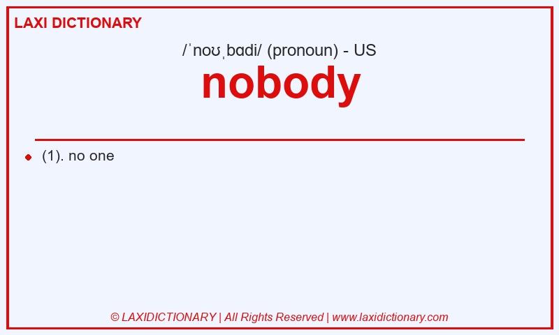 Definition nobody in American English