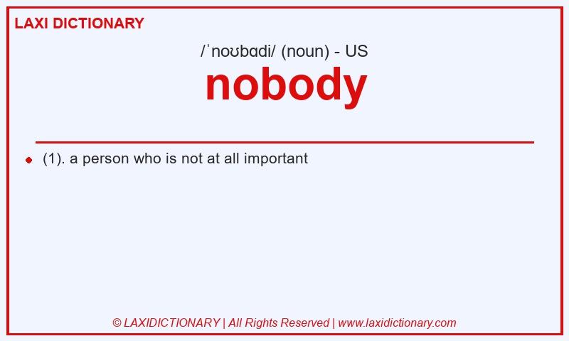 Definition nobody in American English